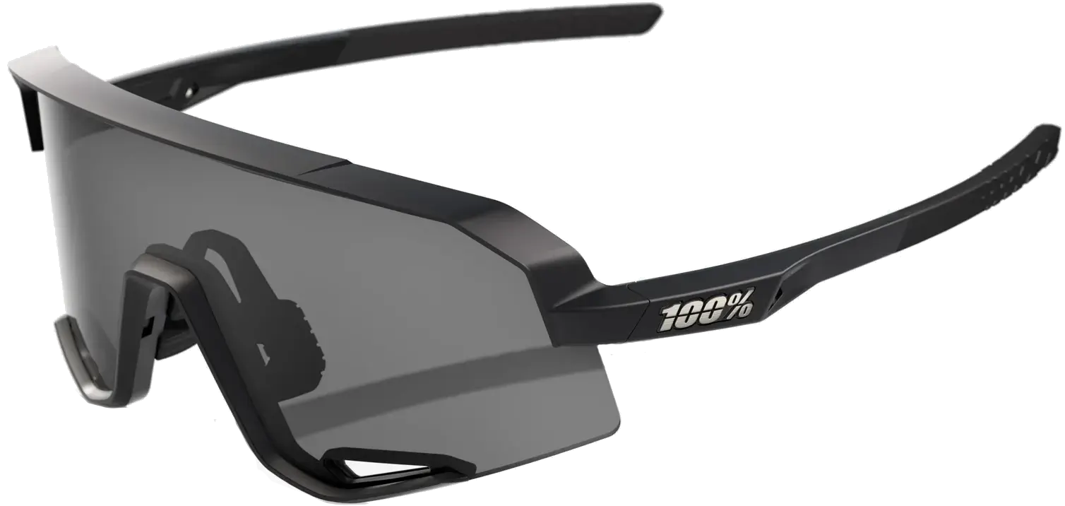 100% SLENDALE - Matte Black - Smoke Lens    196261050066