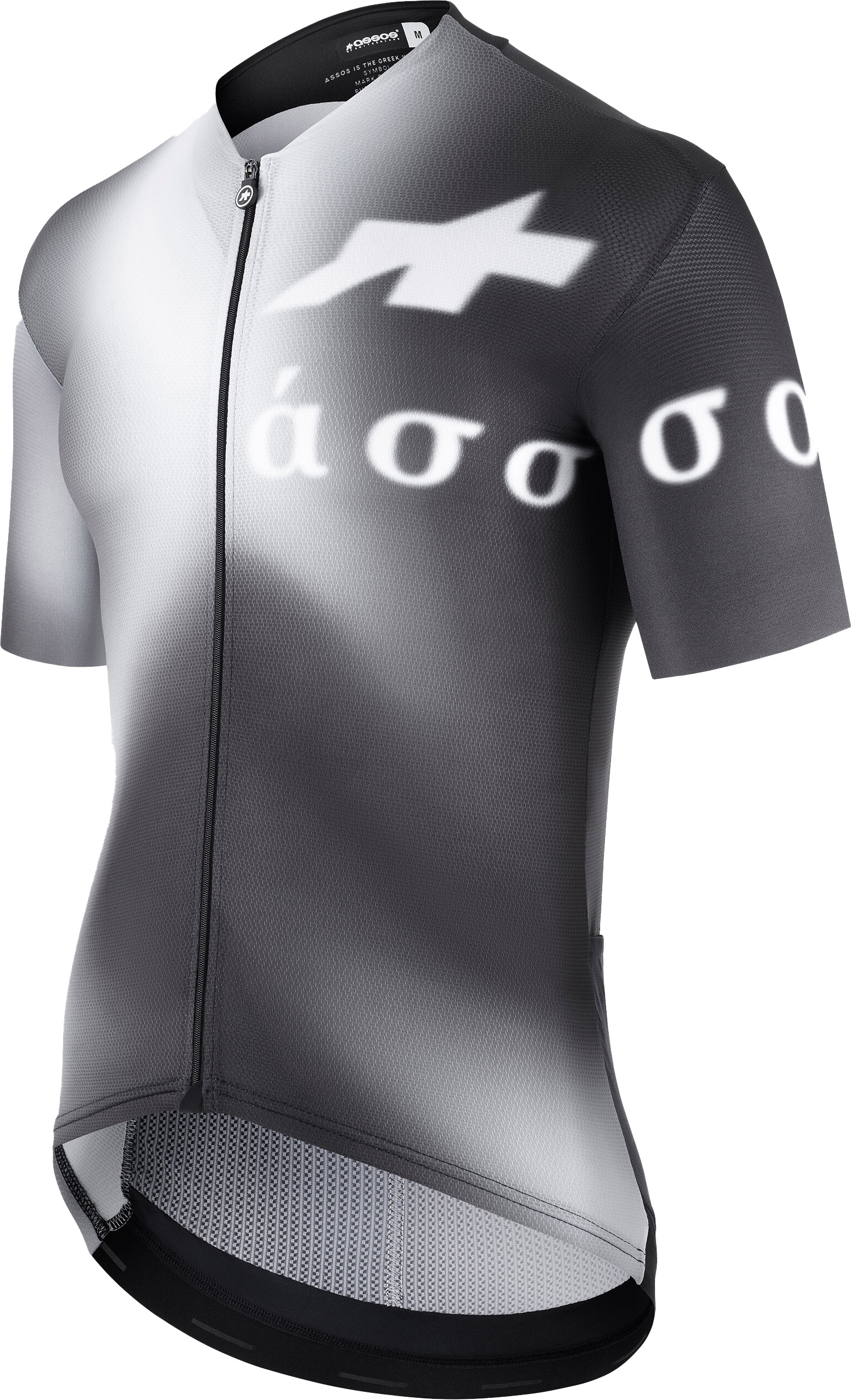 Assos EQUIPE RS Jersey S9 THE MYTH WITHIN - Grå/Hvid