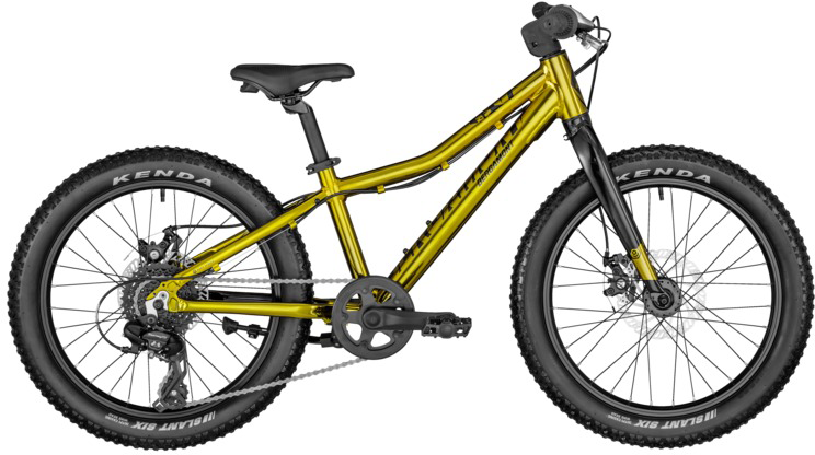 Bergamont Bergamonster 20 Plus Dreng 2022 - Fantastisk tilbud!